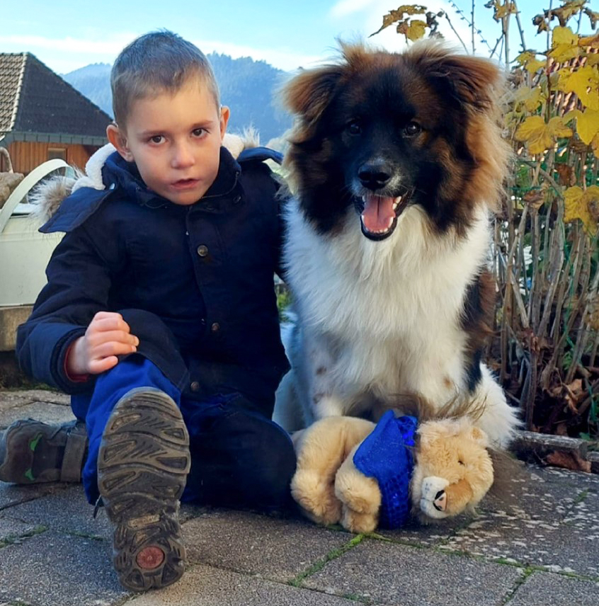 Löwenkind mit Hund